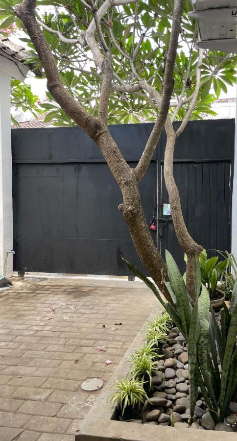 Chic And Cozy Studio Canggu Buitenkant foto